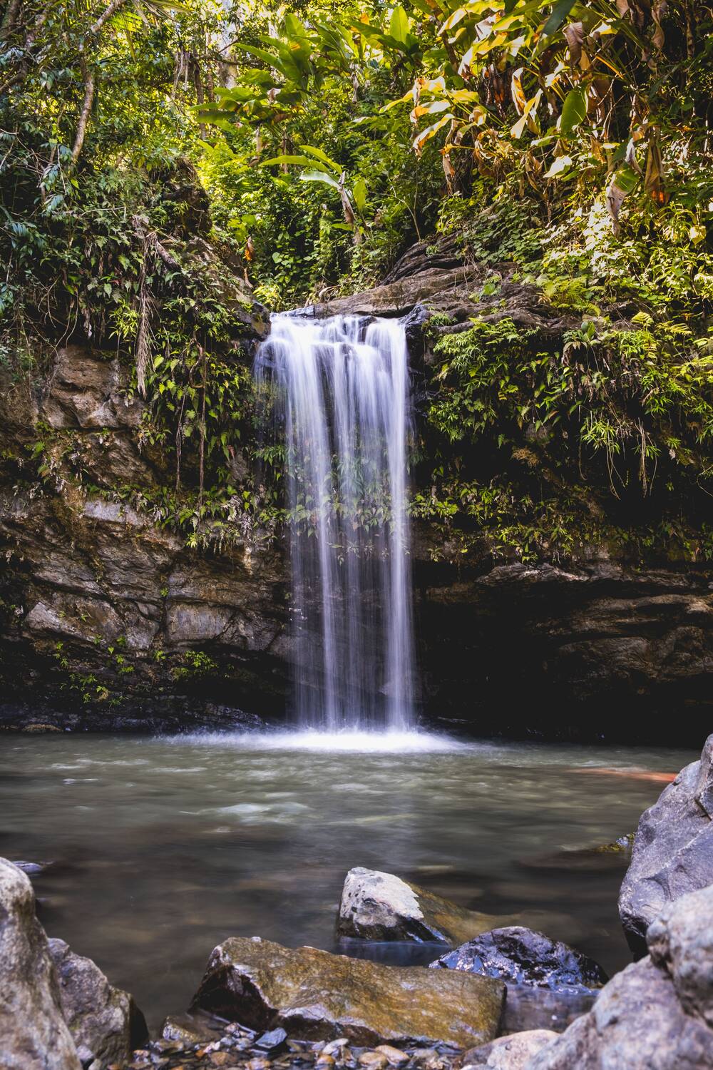 El Yunque Rainforest