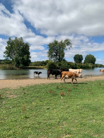 Port Meadow