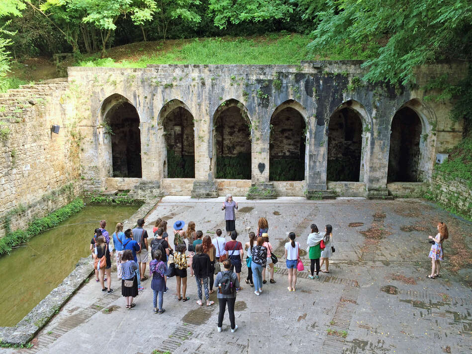 Birds eye view of group of students with Professor, outdoor field trip