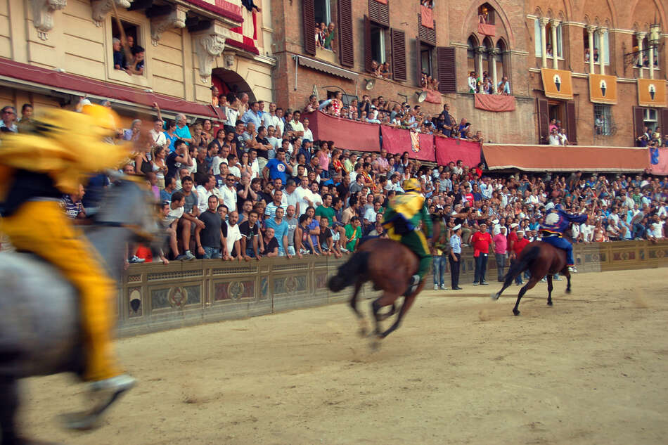Palio horse race