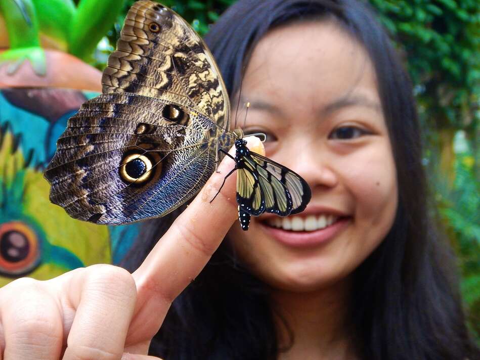 Student with butterfly