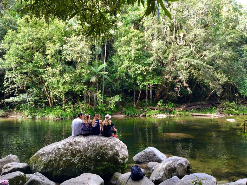 Four students looking out to water in the Daintree Rainforest