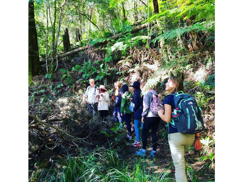 Students walking in line at Nightcap National Park