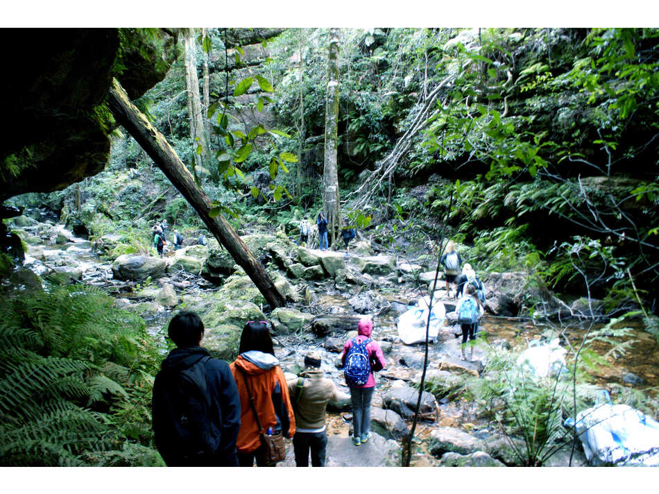 Students hiking on the Blue Mountains