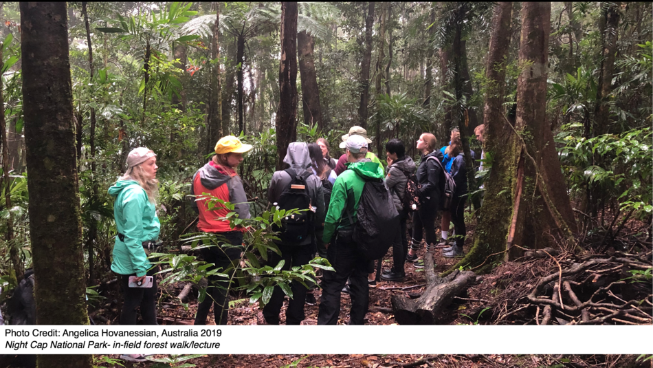 Night Cap National Park- in-field forest walk/lecture