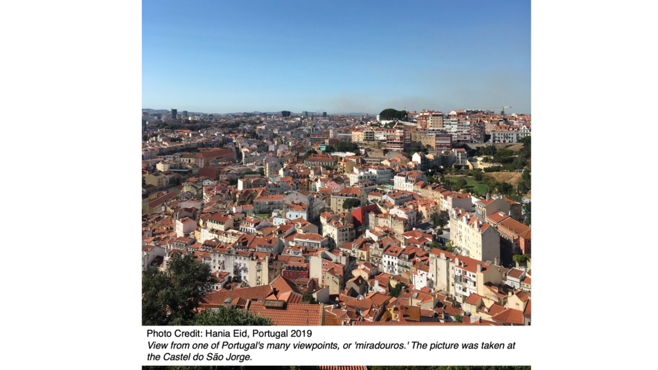 View from one of Portugal's many viewpoints, or 'miradouros.' The picture was taken at the Castel do São Jorge.